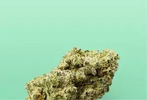 Collection image for: FLEUR CBD