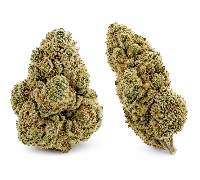 BULLET KUSH