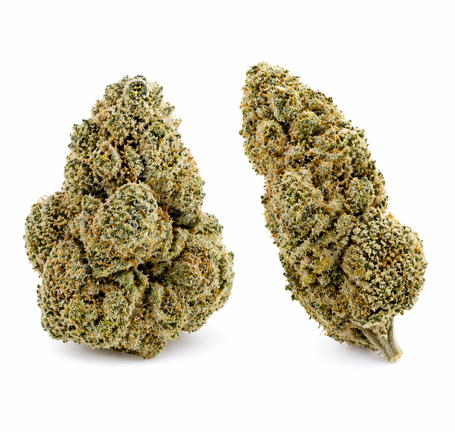 BULLET KUSH