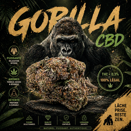 GORILLA