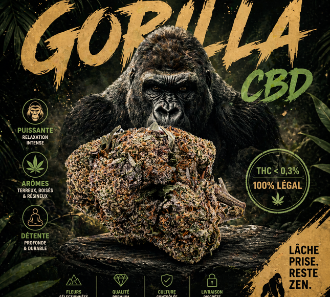GORILLA