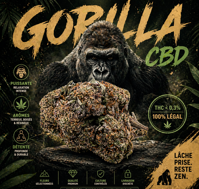 GORILLA