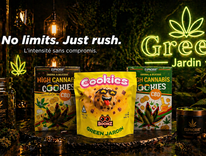<h1>Space Cookies</h1>