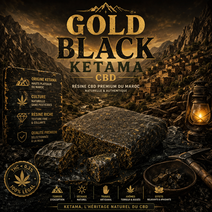 Gold Black Ketama