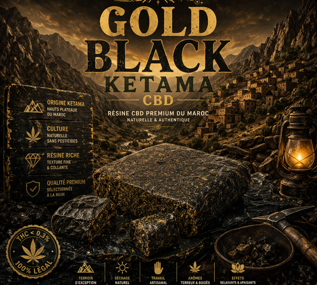 Gold Black Ketama