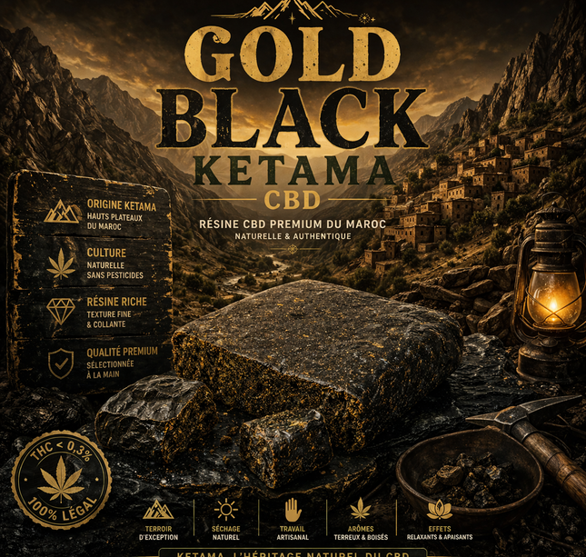Gold Black Ketama