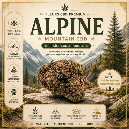 ALPINE