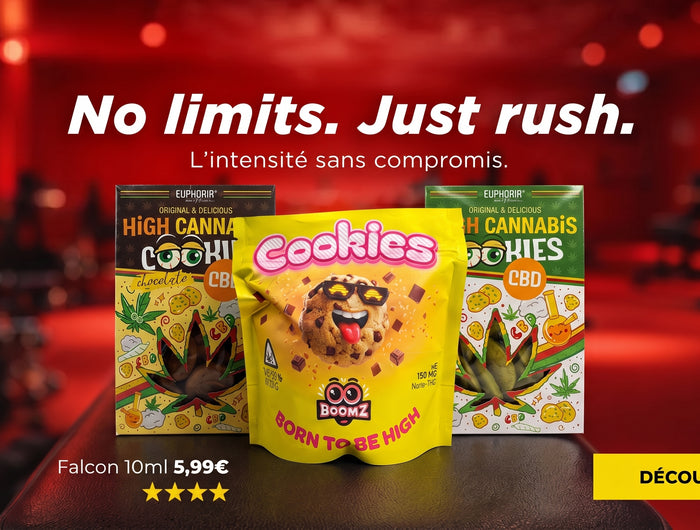 <h1>Space Cookies THC</h1>