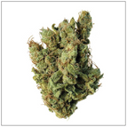 5 Gr de Super Silver Haze