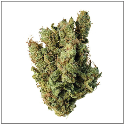 Abonnement Fleur de CBD : s'abonner et économiser