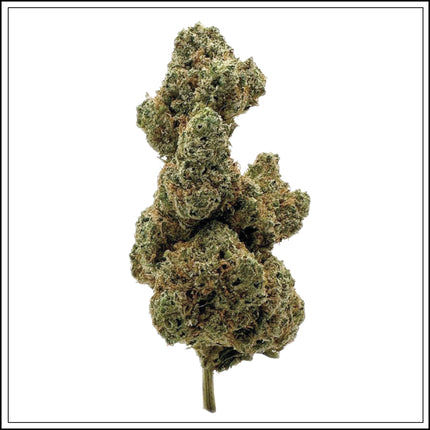 Abonnement Fleur de CBD : s'abonner et économiser