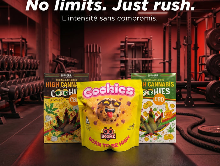 <h1>Space Cookies THC</h1>