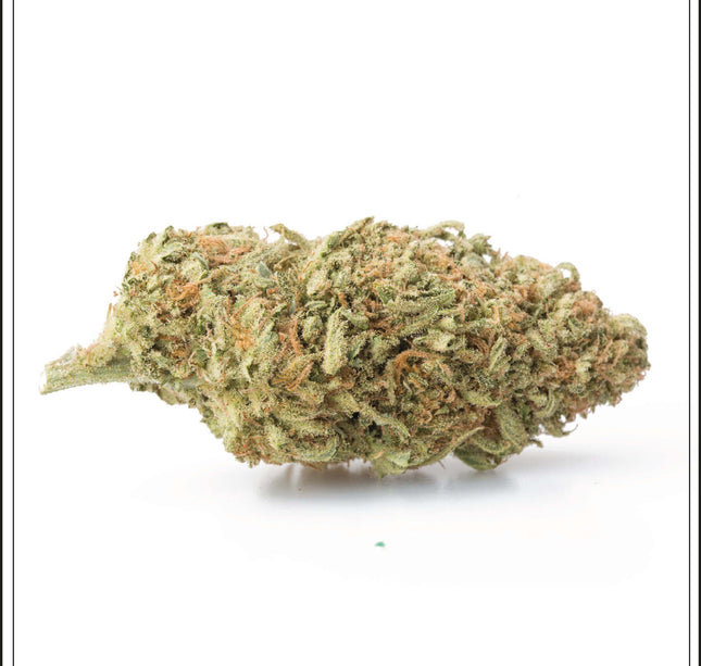 Small Bud Moby Dick - 4%