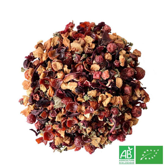 Infusion Fruits Rouges Bio