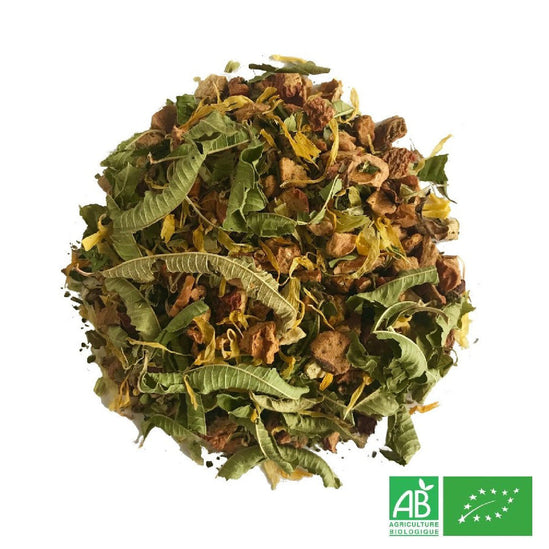 Infusion aux herbes pour le soir Bio