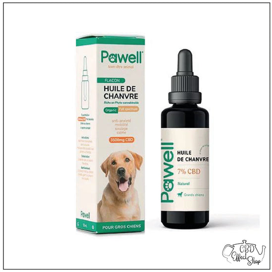 Huile CBD pour chien ( 20 Kg et plus )